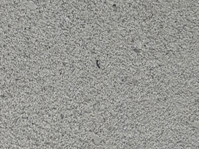 Фактурная штукатурка с эффектом имитации бетона Goldshell Хай-Тек Бетон (Hi-teck concrete) в цвете 79 (80мл)